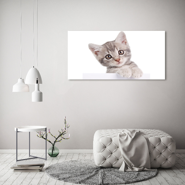 Cuadro canvas con impresión uv duradera horizontal gato gris