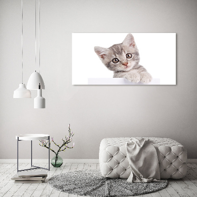 Cuadro canvas con impresión uv duradera horizontal gato gris