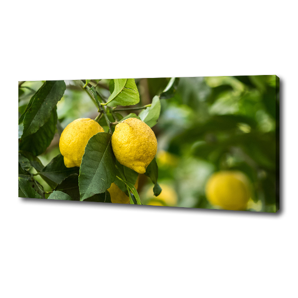 Cuadro canvas con impresión uv duradera horizontal Limones en el árbol