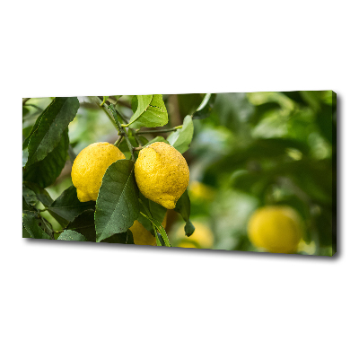 Cuadro canvas con impresión uv duradera horizontal Limones en el árbol