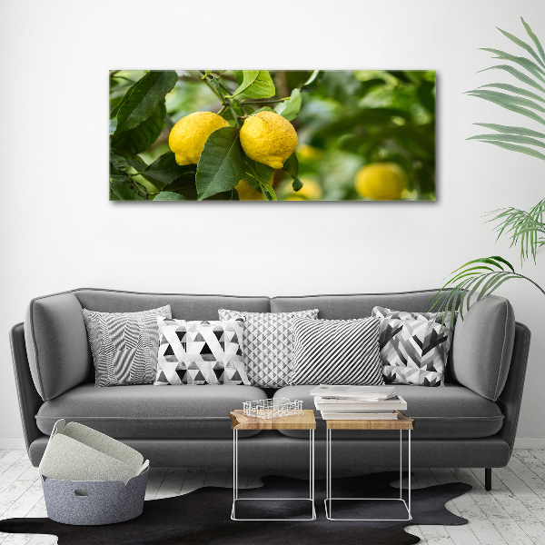 Cuadro canvas con impresión uv duradera horizontal Limones en el árbol