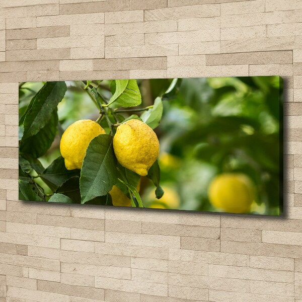 Cuadro canvas con impresión uv duradera horizontal Limones en el árbol