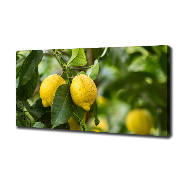 Cuadro canvas con impresión uv duradera horizontal Limones en el árbol