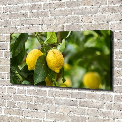 Cuadro canvas con impresión uv duradera horizontal Limones en el árbol