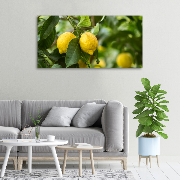 Cuadro canvas con impresión uv duradera horizontal Limones en el árbol