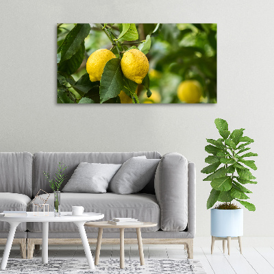 Cuadro canvas con impresión uv duradera horizontal Limones en el árbol