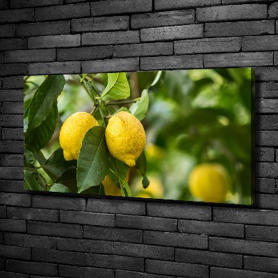 Cuadro canvas con impresión uv duradera horizontal Limones en el árbol