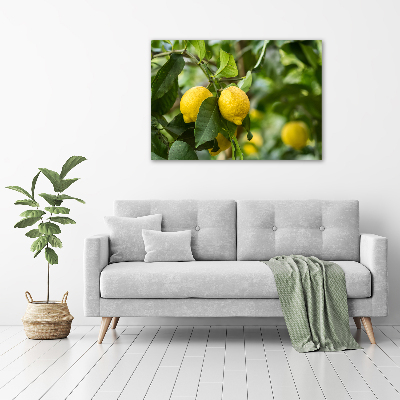 Cuadro canvas con impresión uv duradera horizontal Limones en el árbol