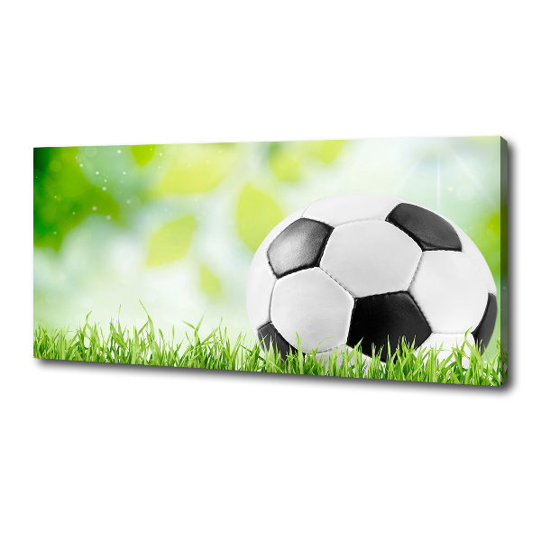 Cuadro canvas con impresión uv duradera horizontal Fútbol americano