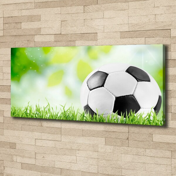 Cuadro canvas con impresión uv duradera horizontal Fútbol americano
