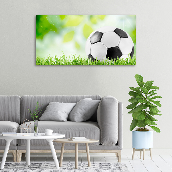 Cuadro canvas con impresión uv duradera horizontal Fútbol americano