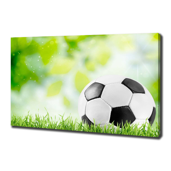 Cuadro canvas con impresión uv duradera horizontal Fútbol americano