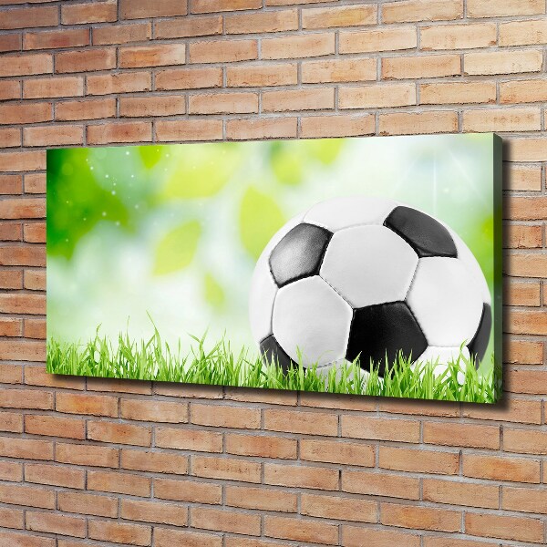 Cuadro canvas con impresión uv duradera horizontal Fútbol americano