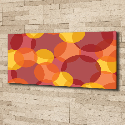 Cuadro canvas con impresión uv duradera horizontal Círculos de colores