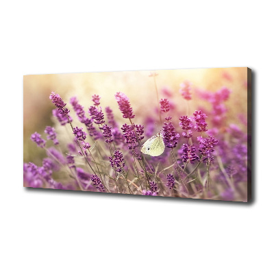 Cuadro canvas con impresión uv duradera horizontal Lavanda