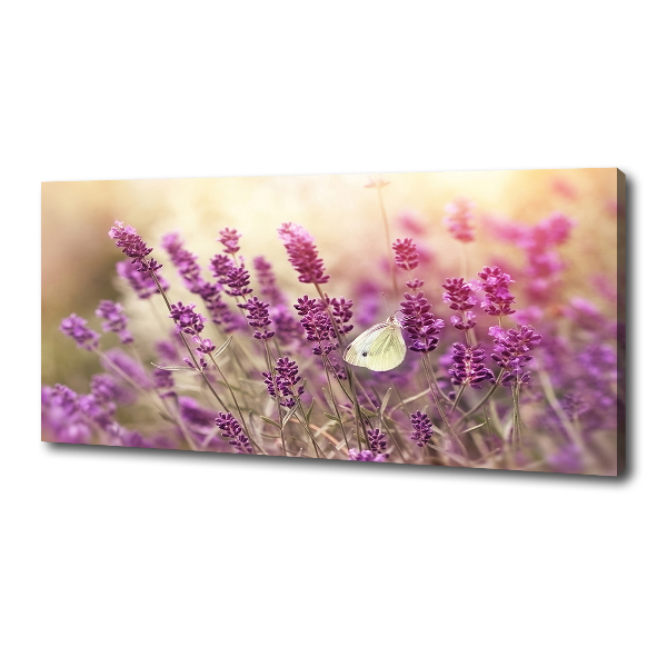 Cuadro canvas con impresión uv duradera horizontal Lavanda