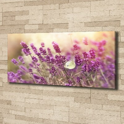 Cuadro canvas con impresión uv duradera horizontal Lavanda