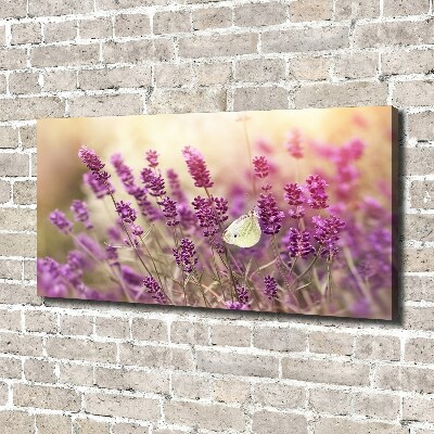 Cuadro canvas con impresión uv duradera horizontal Lavanda
