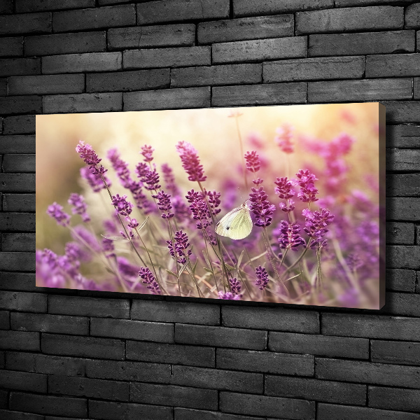 Cuadro canvas con impresión uv duradera horizontal Lavanda