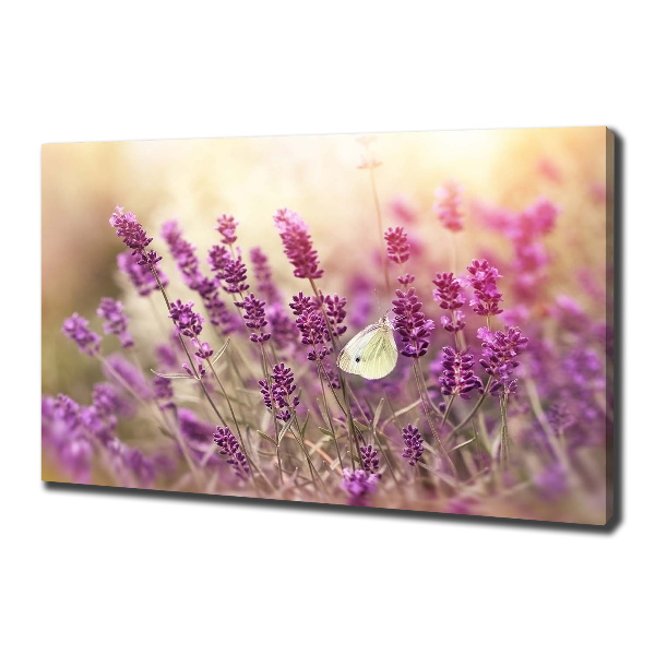 Cuadro canvas con impresión uv duradera horizontal Lavanda