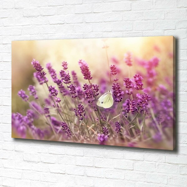 Cuadro canvas con impresión uv duradera horizontal Lavanda