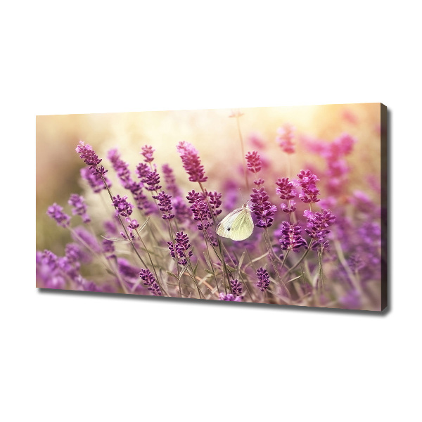 Cuadro canvas con impresión uv duradera horizontal Lavanda