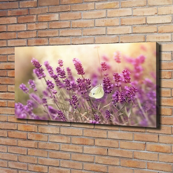 Cuadro canvas con impresión uv duradera horizontal Lavanda