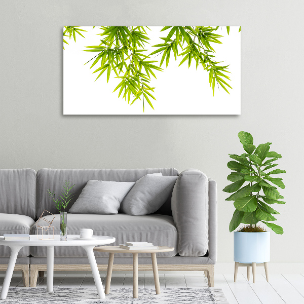 Cuadro canvas con impresión uv duradera horizontal hojas de bambú