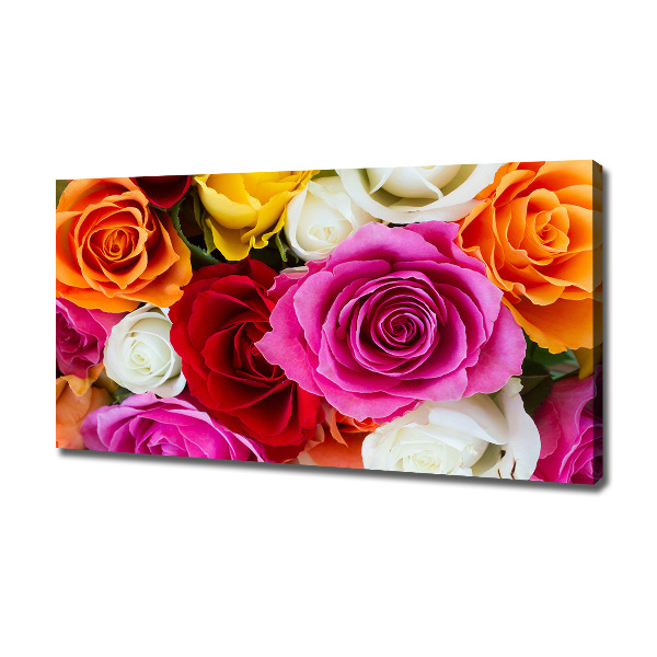 Cuadro canvas moderno de gran formato horizontal Rosas de colores