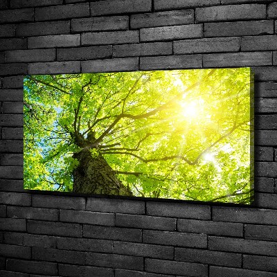 Foto en lienzo con acabado profesional horizontal Castaño en primavera