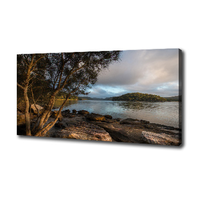 Cuadro canvas con impresión uv duradera horizontal Un árbol junto al río