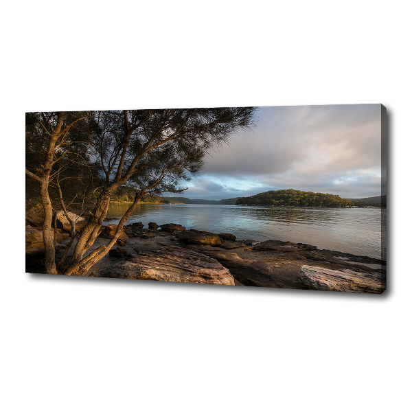 Cuadro canvas con impresión uv duradera horizontal Un árbol junto al río