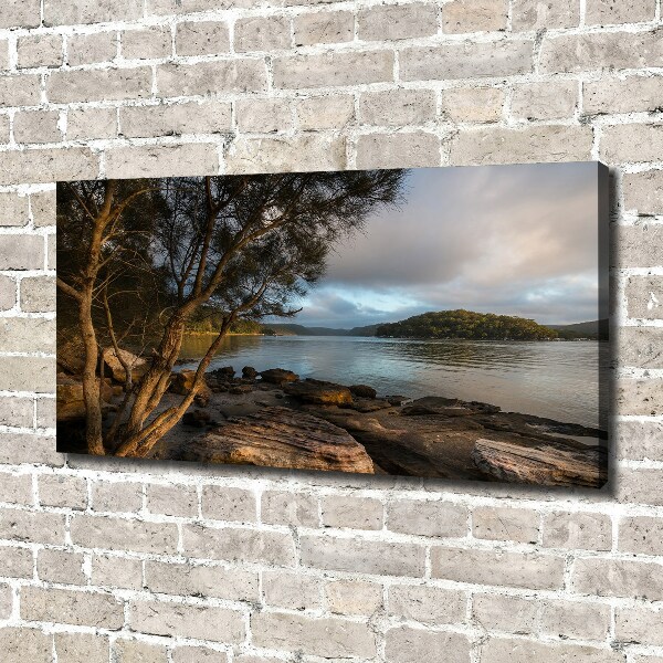Cuadro canvas con impresión uv duradera horizontal Un árbol junto al río