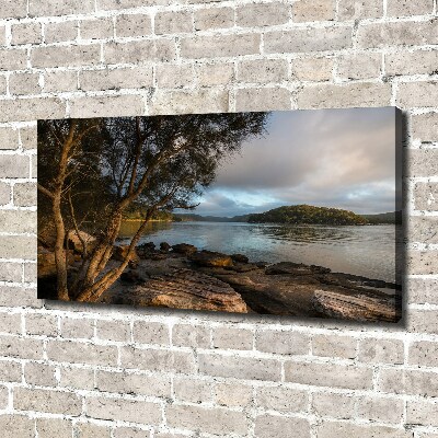 Cuadro canvas con impresión uv duradera horizontal Un árbol junto al río