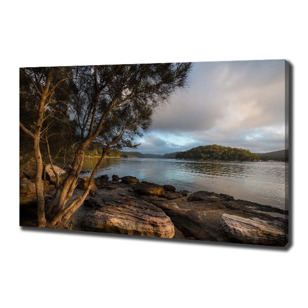 Cuadro canvas con impresión uv duradera horizontal Un árbol junto al río
