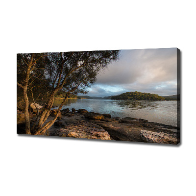 Cuadro canvas con impresión uv duradera horizontal Un árbol junto al río