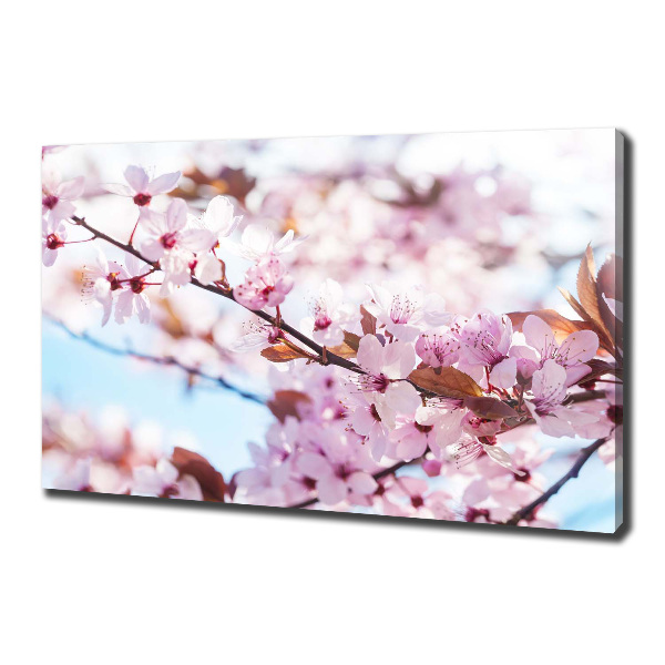 Cuadro canvas con impresión uv duradera horizontal flores de cerezo