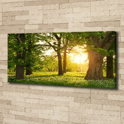Cuadro canvas moderno de gran formato horizontal Árboles en el parque