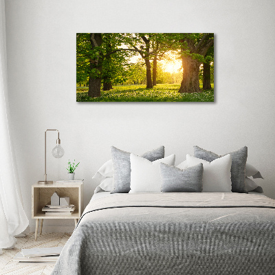 Cuadro canvas moderno de gran formato horizontal Árboles en el parque