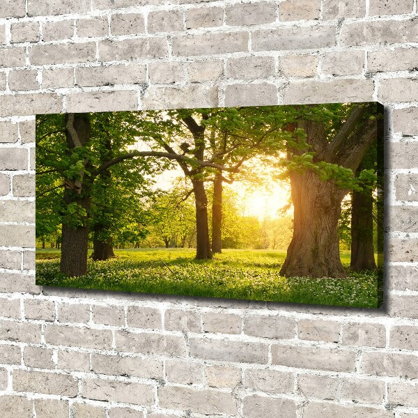 Cuadro canvas moderno de gran formato horizontal Árboles en el parque