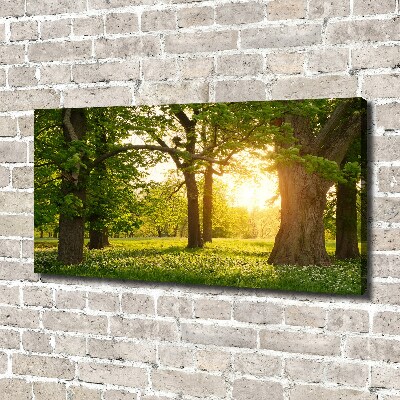 Cuadro canvas moderno de gran formato horizontal Árboles en el parque