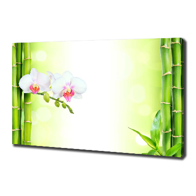 Cuadro canvas moderno de gran formato horizontal Orquídea y bambú