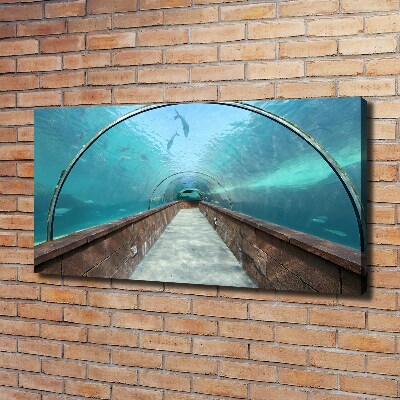 Foto en lienzo con acabado profesional horizontal Túnel del acuario