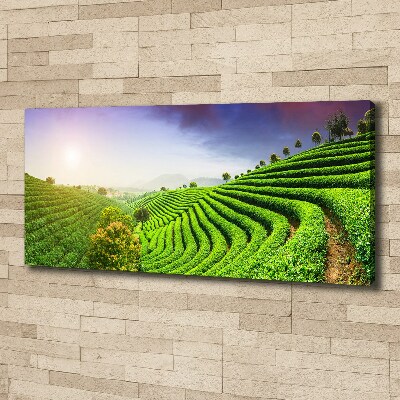 Cuadro canvas con impresión uv duradera horizontal Plantación de té