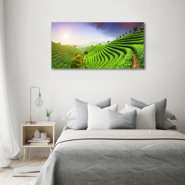 Cuadro canvas con impresión uv duradera horizontal Plantación de té