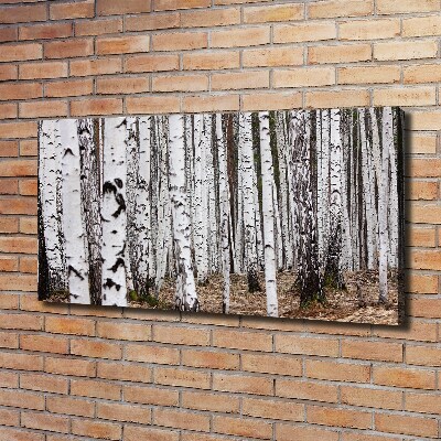 Fotocuadro en lienzo de alta calidad horizontal Abedul