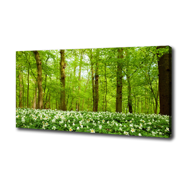Fotocuadro en lienzo de alta calidad horizontal Flores en el bosque