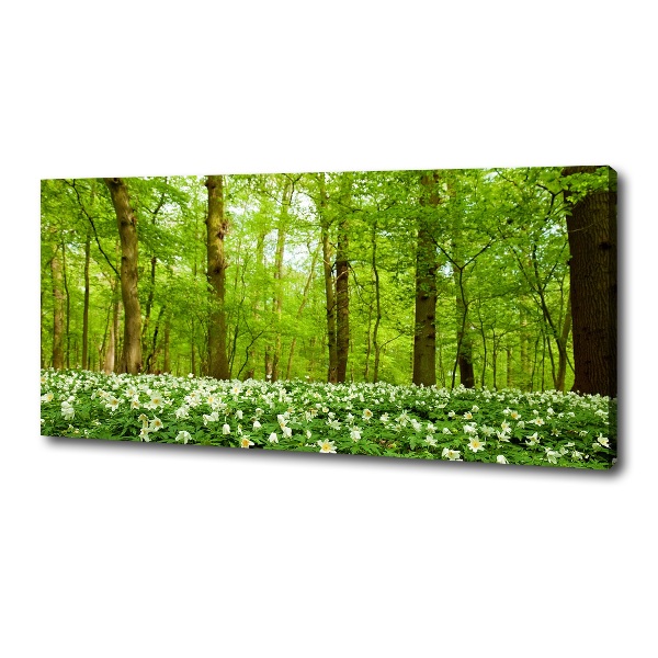 Fotocuadro en lienzo de alta calidad horizontal Flores en el bosque