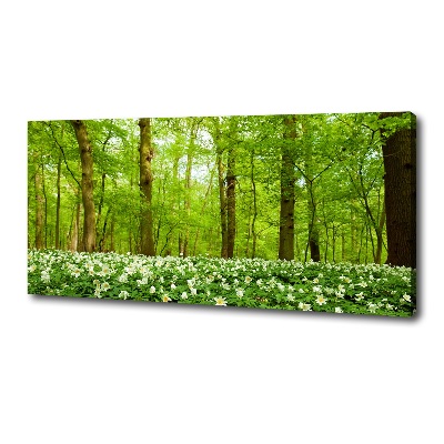 Fotocuadro en lienzo de alta calidad horizontal Flores en el bosque