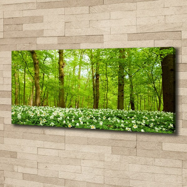 Fotocuadro en lienzo de alta calidad horizontal Flores en el bosque